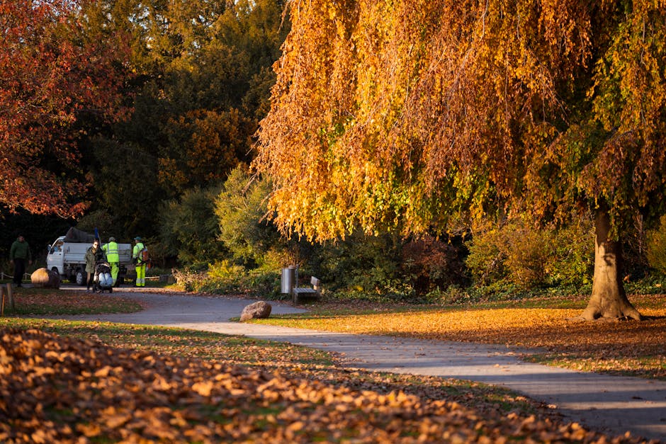 In a park with autumn foliage, a group of three workers wearing high-visibility vests and hard hats are gathered around a white commercial van parked on a paved pathway. They are engaged in waste coll
